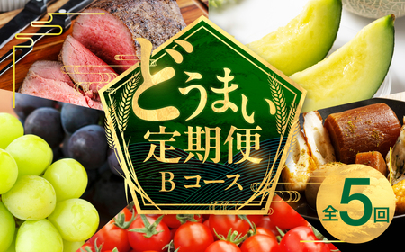 【定期便】穂の国の恵み どうまい定期便 全5回 Bコース / 愛知県 豊橋市