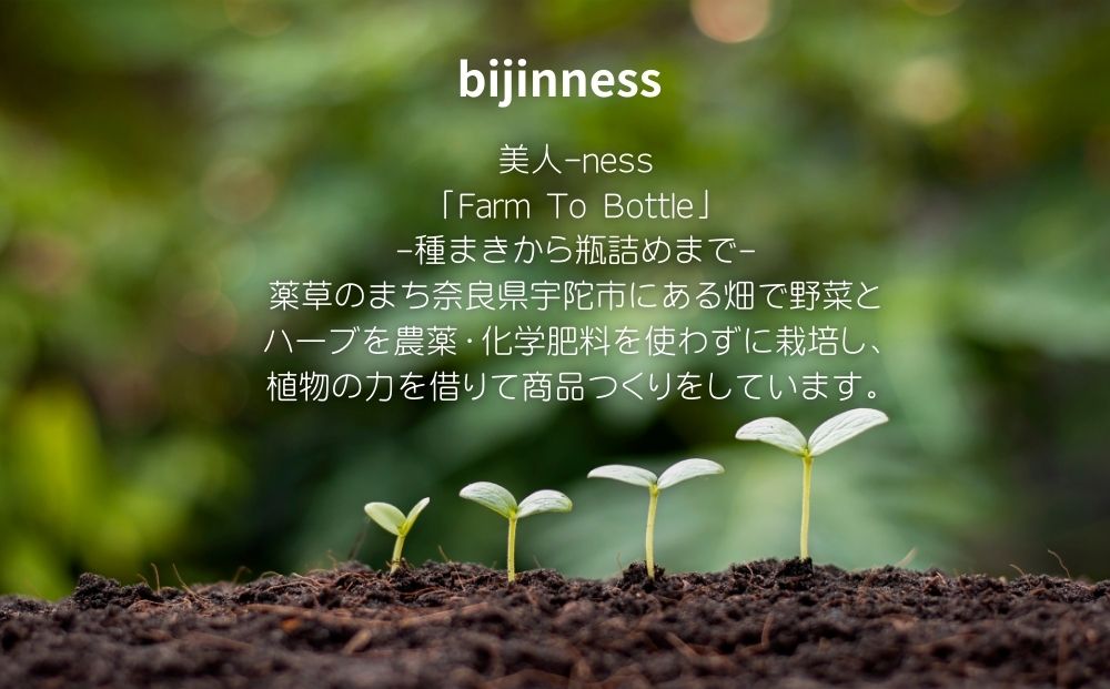 宇陀の午後のお茶セット (化粧箱入り) ／ ふるさと納税 ハ