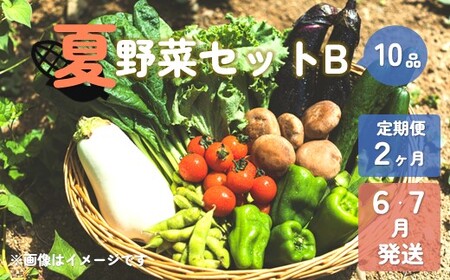 【予約受付/2025年産】夏野菜セットB 10品 以上【 2ヶ月 定期便 / 6・7月発送 】 季節 旬 夏 野菜 岩手県 北上市 E0219-01 葉物 果菜 根菜 冷蔵 野菜室 ダイエット 食 栄養食 加工品 岩手県産 北上産 季節限定 稀少 数量限定 とうもろこし ヤングコーン ブロッコリー レタス ズッキーニ ケール ブルーベリー きゅうり ミニ トマト ピーマン 玉ねぎ 大根 インゲン オクラ つるむらさき 枝豆 モロヘイヤ なす P＆Cリンク