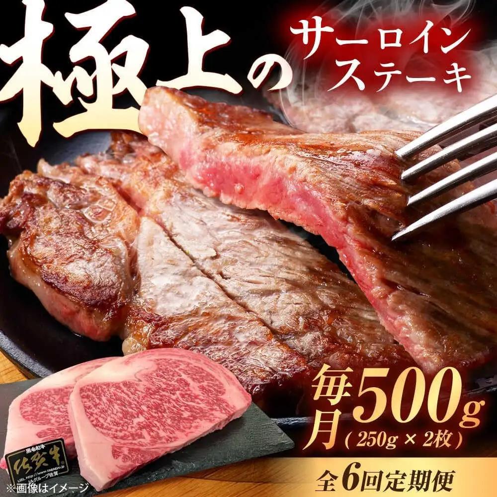 【6回定期便】 佐賀牛 サーロインステーキ 500g ステーキ [UEM022]