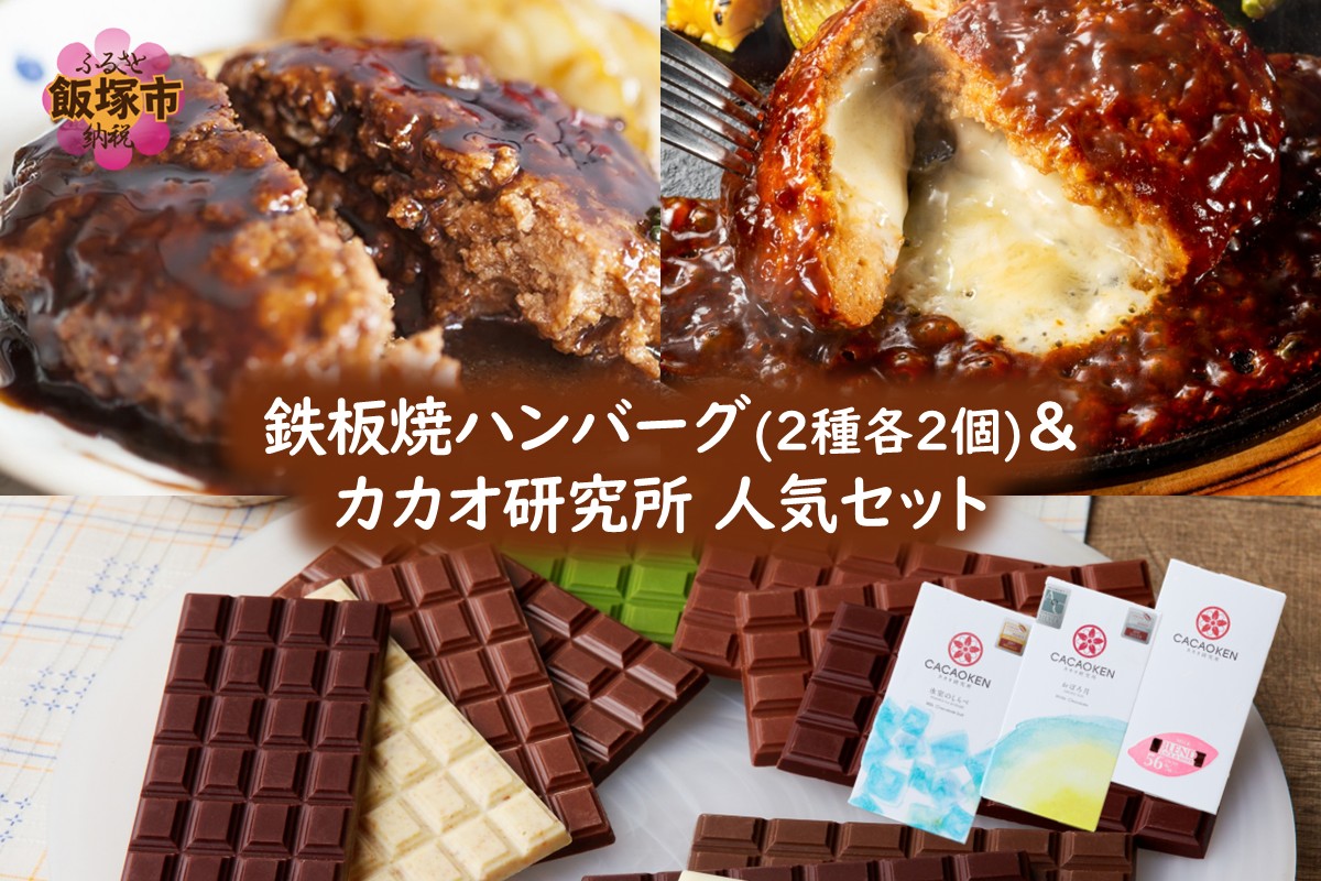【A8-116】鉄板焼ハンバーグ(2種各2個)＆カカオ研究所 人気セット