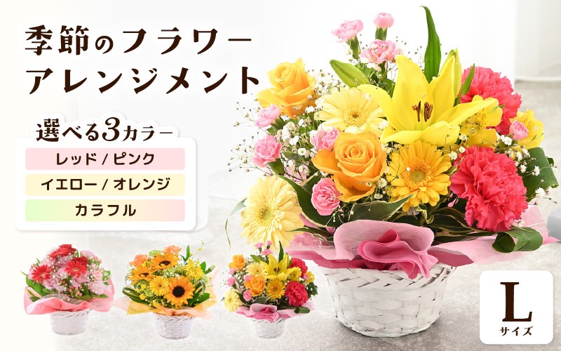 
            選べるカラー 季節のフラワーアレンジメント L 【カラー：レッド・ピンク / イエロー・オレンジ / カラフル】 【お花 フラワー アレジメント 花束 ギフト 生花 プレゼント 花束 花 記念日 敬老の日 お祝い】 [B-20701] 
          