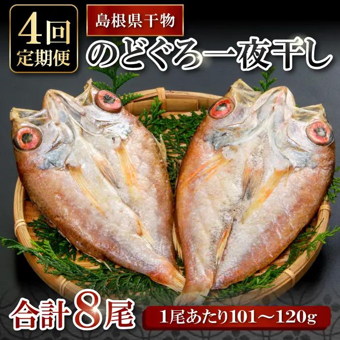 のどぐろ一夜干し 2尾 【4回定期便】【1尾あたり101～120g 2尾 のどぐろ干物 8枚 のどぐろ ノドグロ あかむつ アカムツ 新鮮 干物 一夜干し 個包装 小分け 真空パック 冷凍 贈答 父の日 母の日】