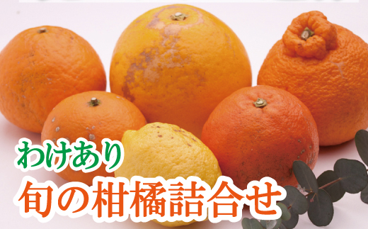 
庭用 柑橘詰合せ2kg+60g（傷み補償分）【訳あり・わけあり】【有田の春みかん詰め合わせ・フルーツ詰め合せ・オレンジつめあわせ】【光センサー選別】【ikd184】
