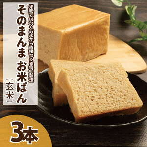 パン 食パン そのまんまお米ぱん 3本 ( 600g × 3 ） コシヒカリ 米 玄米 使用 小麦 乳製品 卵 グルテン 不使用 タンパク質 低カロリー 健康志向 手作り 天然酵母 カフェ 朝食 お取り寄せ グルメ 冷凍 送料無料 徳島県 阿波市