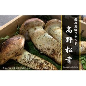 【和歌山産】～香りそのまま真空パック～高級・希少 高野松茸　300g(極:★★★)_野菜 松茸 きのこ まつたけ マツタケ_【配送不可地域：離島・北海道・沖縄県】【1340772】