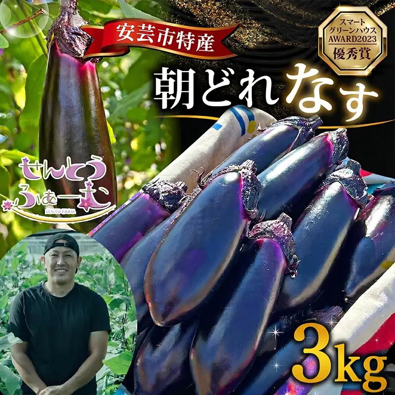 朝採れなす 約3kg｜ナス AZ001