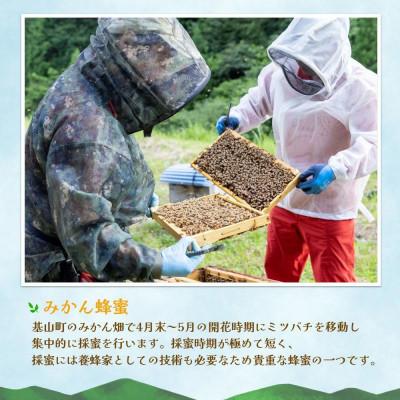 ふるさと納税 基山町 【毎月定期便】みよしのみつ(百花蜜・みかん・もちの木)　220g×3本全3回 |  | 03