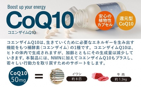 0800-57-01 NMN15000 plus CoQ10 (15,000mgの高配合) ×4箱