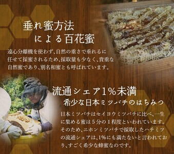希少ハチミツ 南紀熊野蜜 400g（200g×2個） / 古座川流域で採取した日本みつばちのはちみつ 南紀熊野蜜B はちみつ 国産 日本ミツバチ 【tkd201】