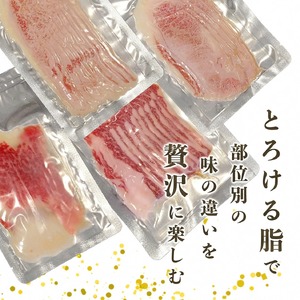 生ハム 亀岡牛生ハム 500g（50g×10パック）