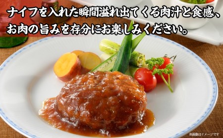 霧島黒豚 3種の煮込みハンバーグ 12個セット (デミグラスソース仕立て・和風おろしソース仕立て・大人の照焼きソース仕立て)_AA-2803