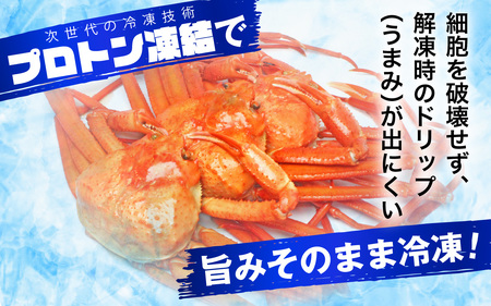 【先行予約】【12月発送】【数量・期間限定】福井県産 越前 紅ズワイガニ ×2杯【急速冷凍】(プロトン凍結)
