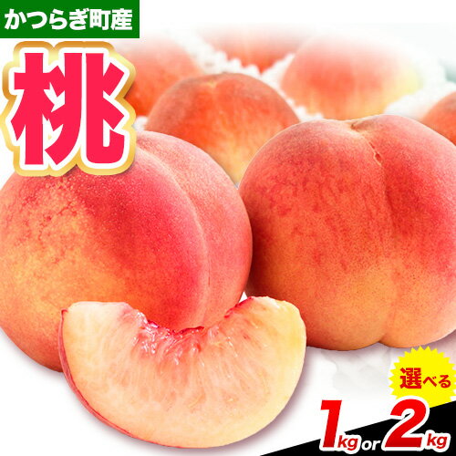 【ふるさと納税】桃 かつらぎ町産 選べる 内容量 約 1kg 約 2kg 紀農人株式会社《2025年6月上旬-8月中旬頃出荷》 和歌山県 日高川町 果物 フルーツ 桃 もも モモ 旬