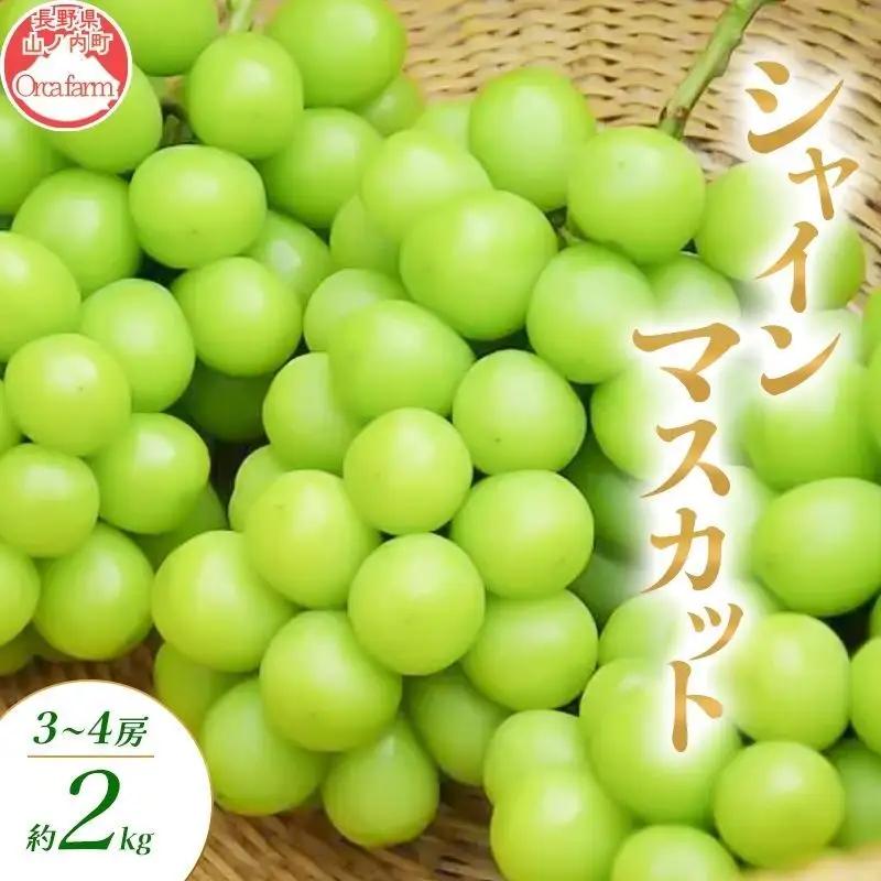 シャインマスカット 2～4房 2kg ぶどう シャインマスカット