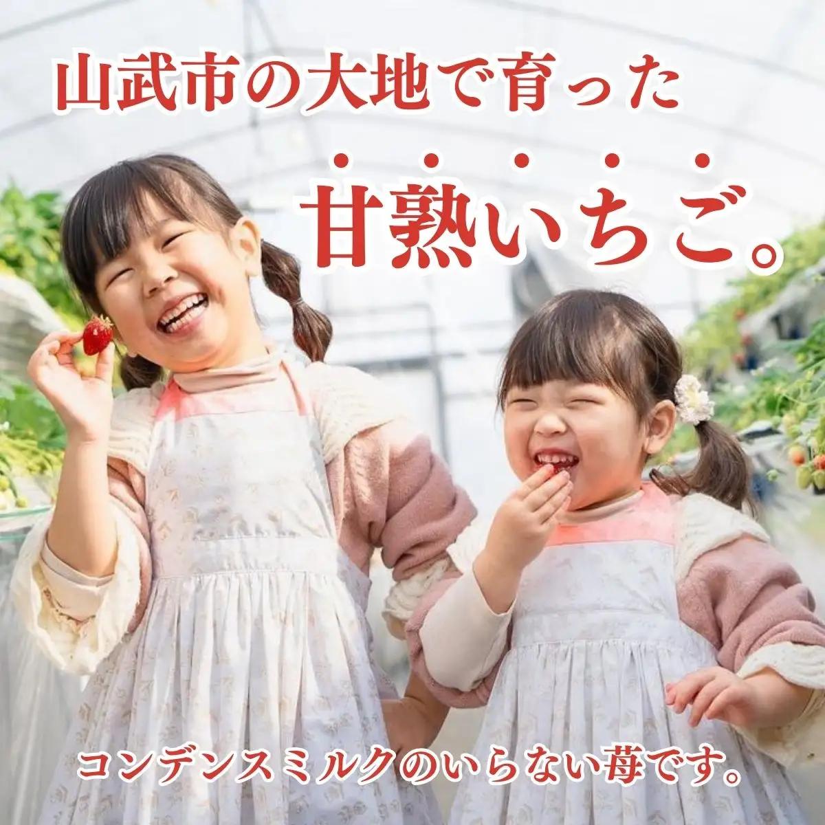 【先行予約】【2月から発送】山武市産 甘熟いちご 800g以上 おすすめの品種をお届け ／ふるさと納税 いちご イチゴ 苺 果物 くだもの フルーツ 旬のくだもの 季節のフルーツ 千葉県 山武市 SM