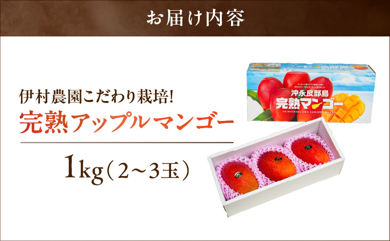 ■【先行予約】伊村農園こだわり栽培！完熟アップルマンゴー1kg（2～3玉）【7月中旬～8月上旬】　W026-001u