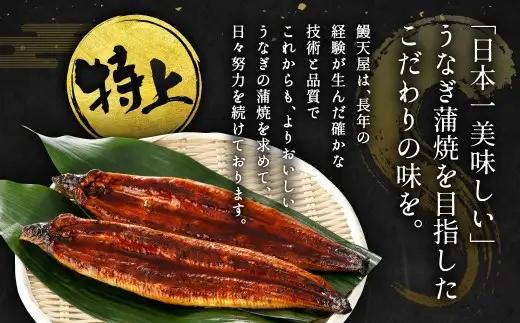 【土用の丑の日にお届け】九州産 うなぎ蒲焼 特特大2尾 (1尾あたり250～266g) 合計500g以上