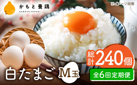 【全6回定期便】【化粧箱入り】白たまご M玉 40個（37個＋3個割れ保証）【株式会社 かもと養鶏】タマゴ 玉子 熊本県 卵 国産 新鮮 しろたまご M玉 濃厚  [ZCA011]