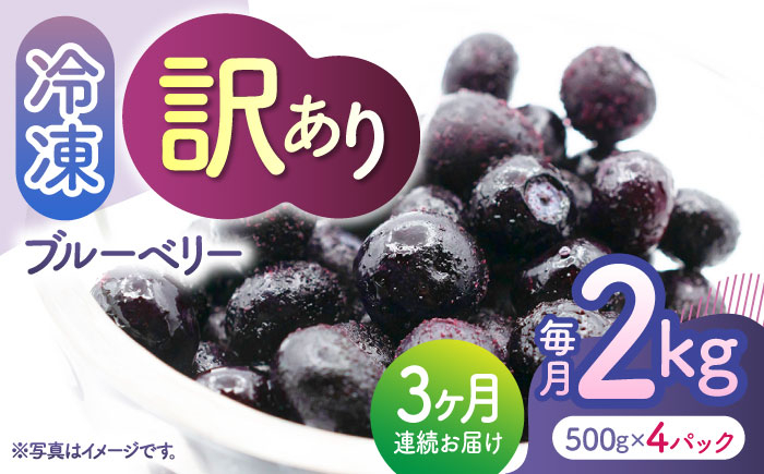 
【3回定期便】【訳あり】 冷凍ブルーベリー 小粒 2kg（500g×4pc） 【すみれファーム】 [ZEP050]
