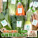 【ふるさと納税】朝採り新鮮！有機野菜セット詰合せ（7～9種類）【1回 3回 6回】選べる 回数 定期便 採れたて 産地直送 葉物 有機JAS認証 野菜セット 旬の野菜 ふるさと納税 野菜