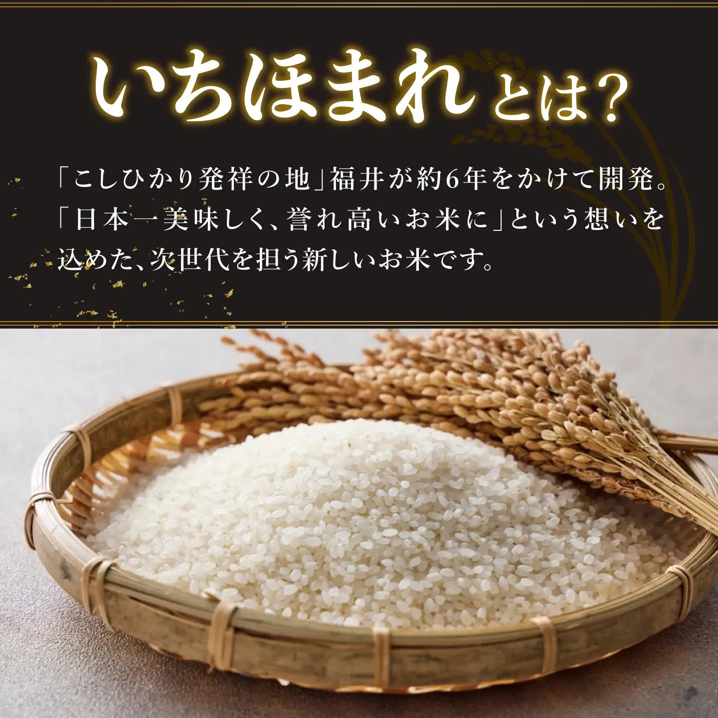 【寄付額見直し】令和7年産 いちほまれ 10kg（5kg × 2袋）お米 ごはん