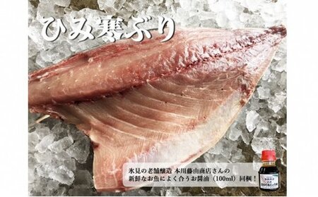  【先行予約】ひみ寒ぶり 8～10kg台物 半身【角安商店】※配送エリア限定※　