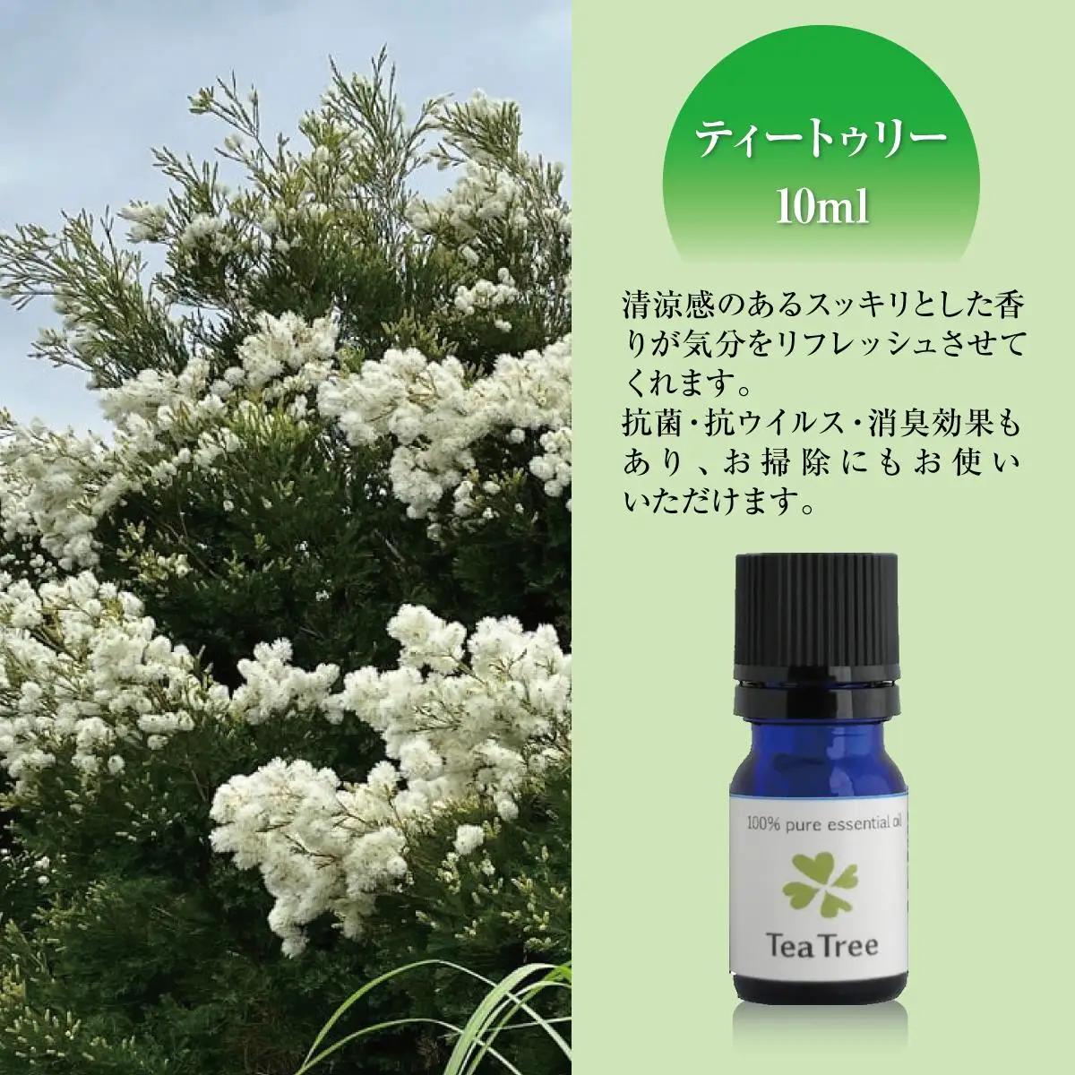 国産精油ティートゥリー　エッセンシャルオイル　10ml   