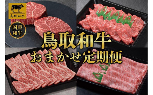 【定期便】鳥取和牛 おまかせ 定期便 12か月  TB5【しゃぶしゃぶ サーロイン 肩ロース ヒレ ウデ モモ 赤身 カルビ すき焼き すきやき 焼肉 焼き肉 やきにく 霜降り タレ たれ しゃぶしゃぶ 12回 1年分 人気 おすすめ 鳥取県 琴浦町 送料無料】