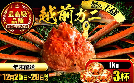 【先行予約/12月25日より順次発送】【年末希望】 越前がに 1kg×3ハイ ズワイガニ ずわいがに ボイル 冷蔵 小浜市 / まるほ商店 【配送不可地域：北海道・沖縄・離島】[BFCS047]