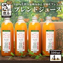 【ふるさと納税】100% 生搾り ストレートジュース 鹿島市産 温州みかん 不知火 ブレンドジュース 500ml×4本 佐賀県 鹿島市 送料無料 B-539