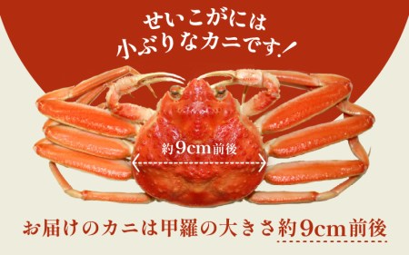 ≪浜茹で≫越前産 せいこがに（生で200g前後） × 3杯【12月発送分】【雌 ズワイガニ 越前ガニ 姿 ボイル 冷蔵 かに カニ 蟹 福井県】希望日指定可 備考欄に希望日をご記入ください [e43-