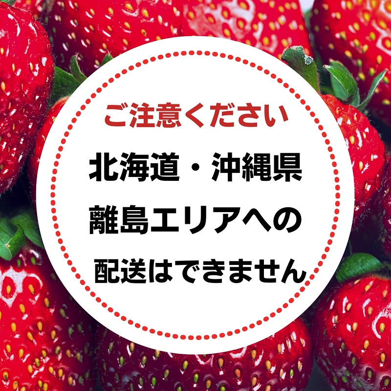 福田さんちのイチゴ(さぬきひめ) 2Lサイズ×4パック 1kg以上