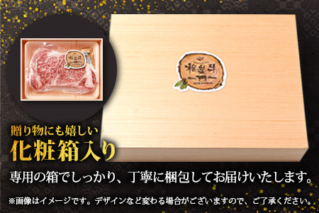 宮崎県産 椎葉牛 サーロインステーキ 200ｇ×2枚 計400g TK-84 [宮崎県 椎葉村 牛肉 椎葉牛 牛 うし ぎゅう ぎゅうにく 肉 お肉 にく おにく 精肉 せいにく ステーキ サーロイン