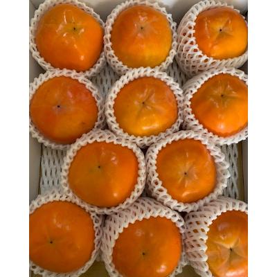 ふるさと納税 有田川町 富有柿　赤秀品　2Lサイズ　11個入り【マルシ農園】 |  | 02