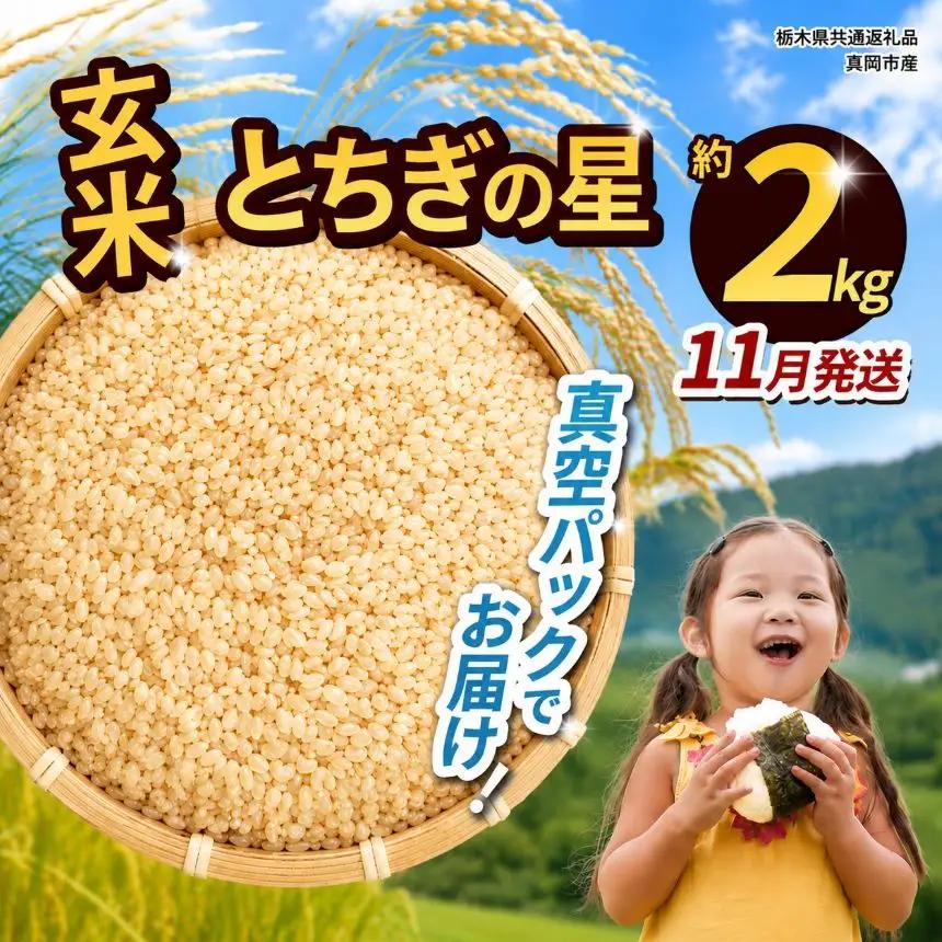 【栃木県共通返礼品】【先行予約】【11月発送分】令和8年度新米 栃木県産とちぎの星（玄米真空パック) 約2kg  | 栃木県 那珂川町 送料無料