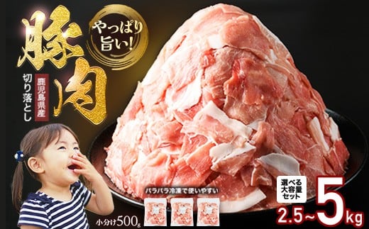 
            ＼期間限定 ご愛顧感謝／ 2.5kg 10000円（2026年1月～3月発送分） 小分け＆パラパラで使い勝手抜群！旨い♪ 安心の鹿児島県産 訳あり 小間切れ 冷凍 ふるさと納税 豚肉 小分け 真空パック 切り落とし ふるさと 人気 ランキング 【スターゼン】starzen-7296-oya
          