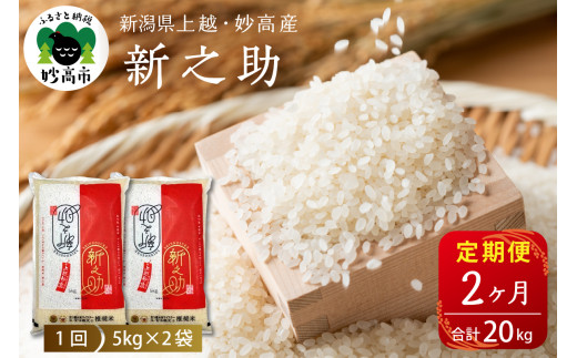 【2025年12月上旬発送】【定期便】令和7年産新潟県上越・妙高産新之助10kg×2回（計20kg）