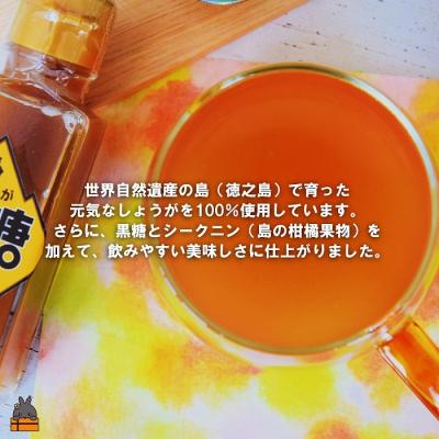 ふるさと納税 徳之島町 徳之島産しょうが100%使用!体ぽかぽか!しょうが黒糖シロップ(100ml×3本) |  | 02