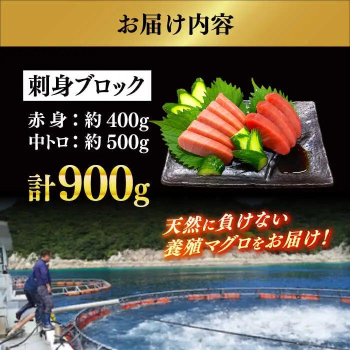 冷蔵！生本マグロ 赤身 中トロ 冷蔵 計約900g マグロ まぐろ 鮪 刺身 五島列島産養殖[RBN013] 本マグロ 本まぐろ 本マグロ 本まぐろ 本マグロ 本まぐろ九州 長崎