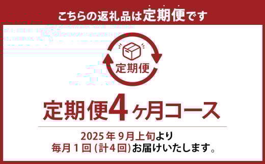 【果物定期便4回】 （ニューピオーネ ・ 晴王 ・ 紫苑 ・ あたご梨） 【2025年9月上旬より発送開始】 ／ 4回 葡萄 ぶどう マスカット シャインマスカット 梨 なし 果物 果実 フルーツ 旬