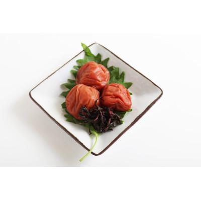 ふるさと納税 かつらぎ町 【梅干・梅酒用】(LまたはM-約10kg)熟南高梅《2025年6月上旬〜7月上旬発送予定》 |  | 01