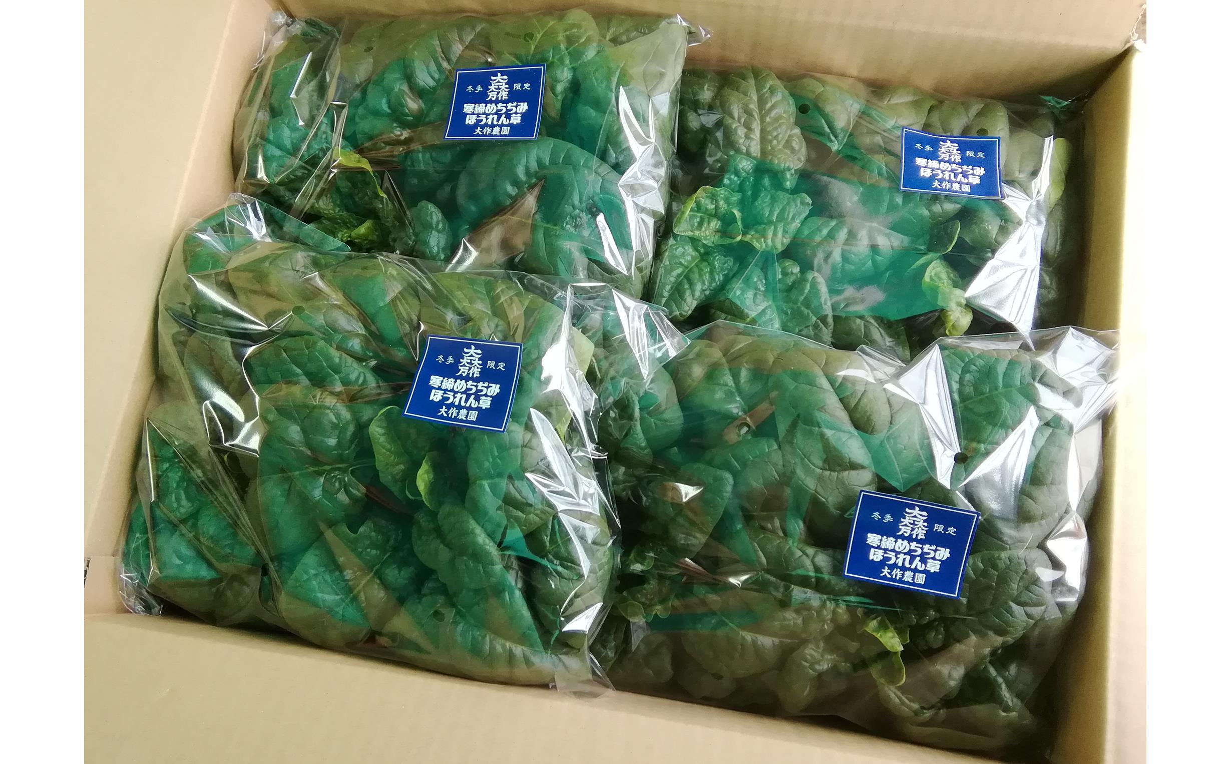 ＜2025年12月・2026年8月お届け＞大作農園　寒締めちぢみほうれん草約1.5kg・カラフルミニトマト約1.5kg　2回お届け定期便 SBTR006