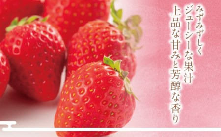 U21-02 アルギット農業「あまおう苺」(4パック) いちご イチゴ あまおう苺 自然農法 フルーツ 果物 福岡県産 福智町産 送料無料 いちご イチゴ あまおう苺 いちご イチゴ あまおう苺 いち
