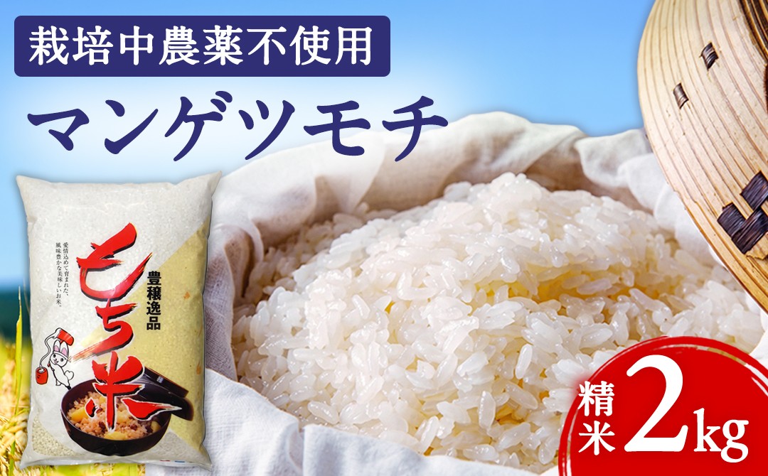 
                  もち米 精米 2kg マンゲツモチ 栽培期間中無農薬 お餅 正月 餅つき お赤飯 おこわ ちまき おはぎ 天皇陛下 お田植祭 産地直送 茨城県 城里町 ふるさと納税 (BJ023)
                