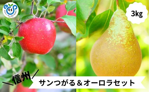 HF04-25A 【信州松川町産】 サンつがる＆オーロラ 2種類セット 約3kg ／9月上旬～9月中旬発送予定 // 長野県 南信州  減農薬栽培 りんご サンつがる 洋梨 オーロラ エコファーマー認証 農家支援