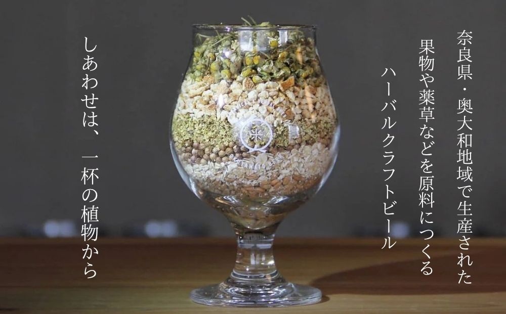 (チルド) 奥大和ビール おまかせセット／ ふるさと納税 地ビール クラフトビール ビール BEER キャンプ 酒 奈良県 宇陀市