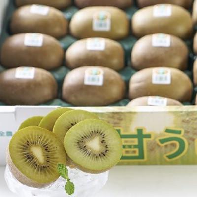 ふるさと納税 豊前市 福岡限定!ブランドキウイ「甘うぃ(あまうぃ)」約3kg箱(24-30玉)(豊前市) |  | 01