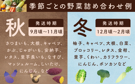10種類の新鮮野菜 定期便 全3回 詰め合わせ 国産 冷蔵発送【毎月配送コース】