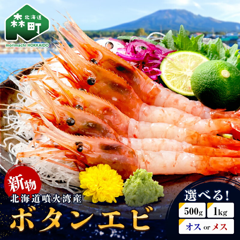 【ふるさと納税】 新物 ボタンエビ （オス・メス）冷凍 北海道噴火湾産 500g～1kg ＜海鮮問屋　株式会社　瑞宝＞ えび エビ 海老 ぼたんえび ぼたん海老 ボタン海老 ボタンエビ ぼたんエビ 牡丹海老 北海道 森町 ふるさと納税 mr1-1406var